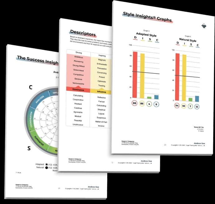 DISC Assessment — assessment overview