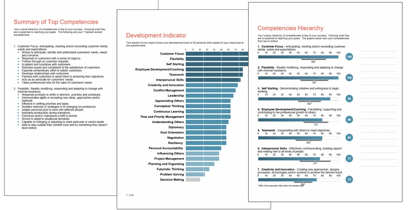 Soft Skills Assessment (DNA 25) — assessment overview